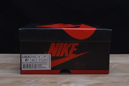 AIR JORDAN 1 RETRO Compact 987 