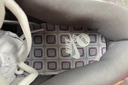 Affordable 2235 Nike SB Dunk Low Purple Pigeon 304292-051  AEDAC1464