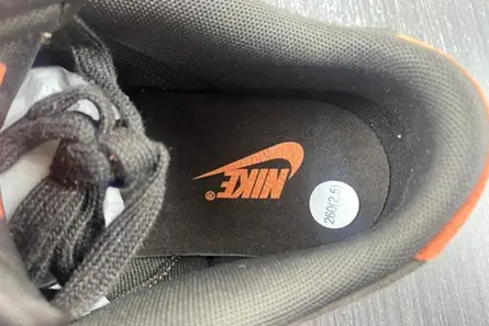 Affordable 452 Nike Dunk Low Red Panda  FV0305-200 