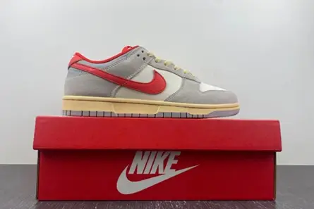 Affordable 8090 Nike Air Dunk 85 Athletic Department  FJ5429-133  CBDC1295