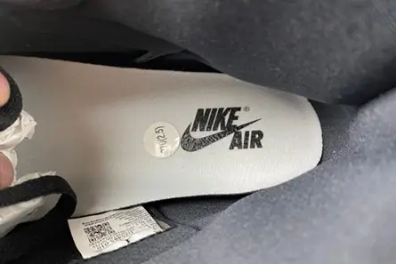 Air Jordan 1 High OG “Reverse Panda” DZ5485-010 WellDesigned 2021 
