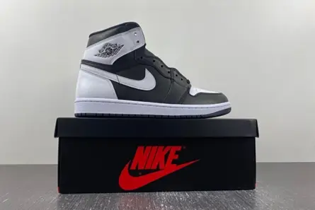 Air Jordan 1 High OG “Reverse Panda” DZ5485-010 WellDesigned 2021 