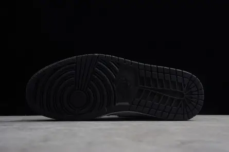 Air Jordan 1 Mid GS Resilient 3020 