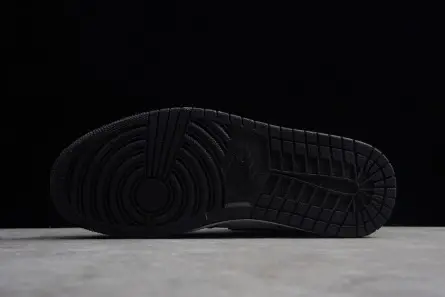 Air Jordan 1 Mid GS Resilient 3020 