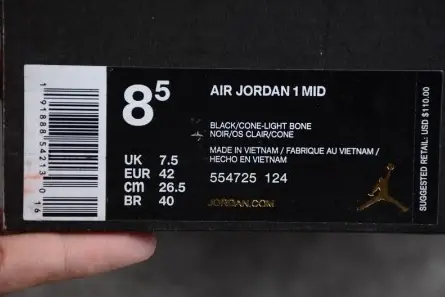 Air Jordan 1 Mid GS Resilient 3020 