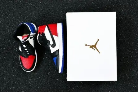 Air Jordan 1 Rebel Affordable 2554 