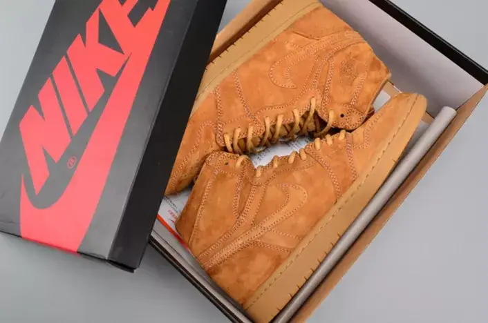 Air Jordan 1 Retro High OG Sleek 5553 