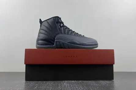 Air Jordan 12 “Black Wolf Grey” CT8013-019 AllSeason 2673  EFDEC377