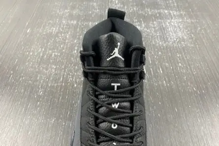 Air Jordan 12 “Black Wolf Grey” CT8013-019 AllSeason 2673  EFDEC377