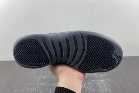 Air Jordan 12 “Black Wolf Grey” CT8013-019 AllSeason 2673 