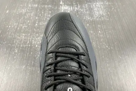 Air Jordan 12 “Black Wolf Grey” CT8013-019 AllSeason 2673 