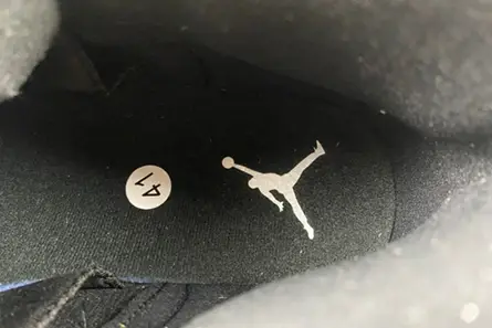 Air Jordan 12 “Black Wolf Grey” CT8013-019 AllSeason 2673 