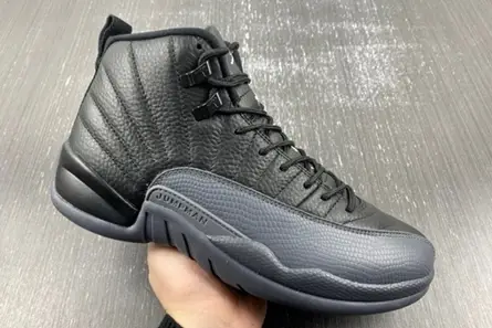 Air Jordan 12 “Black Wolf Grey” CT8013-019 AllSeason 2673 