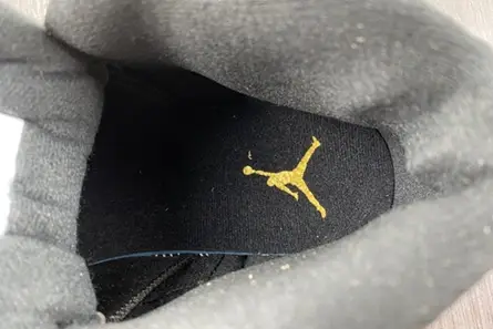 Air Jordan 12 Retro CT8013-057 Compact 814 