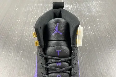 Air Jordan 12 Retro CT8013-057 Compact 814 
