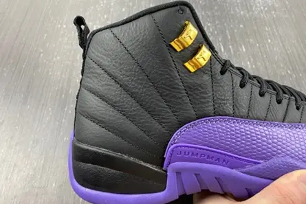 Air Jordan 12 Retro CT8013-057 Compact 814 