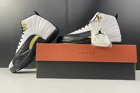 Air Jordan 12 “Royalty” CT8013-170 DailyWear 6889 