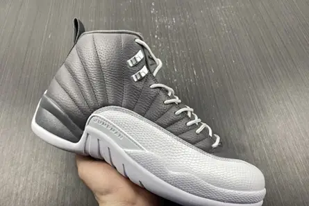 Air Jordan 12 STEALTH CT8025-610 GoodFit 4907 