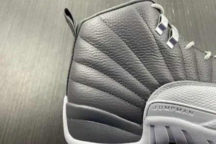Air Jordan 12 STEALTH CT8025-610 GoodFit 4907 