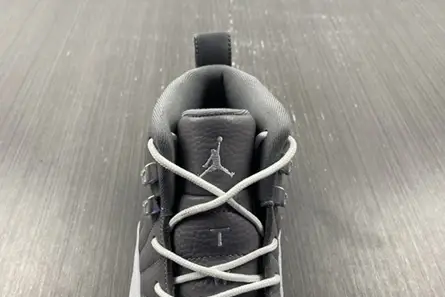 Air Jordan 12 STEALTH CT8025-610 GoodFit 4907 