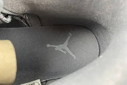 Air Jordan 12 STEALTH CT8025-610 GoodFit 4907 