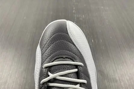 Air Jordan 12 STEALTH CT8025-610 GoodFit 4907 