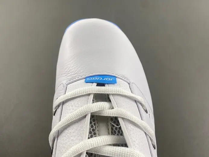 Air Jordan 17 Low “University Blue” FJ0395-101 SportInspired 7856 