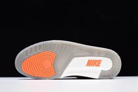 Air Jordan 3 JTH Bio Beige AV6683-200 AllSeason 2346 