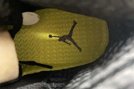 Air Jordan 5 Air Jordan 5 “Oregon” CK6631-307 Compact 1174 