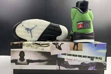 Air Jordan 5 Air Jordan 5 “Oregon” CK6631-307 Compact 1174 