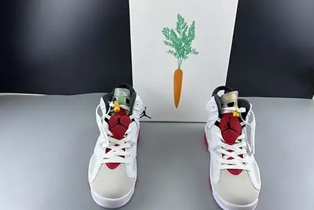 Air Jordan 6 “Hare” CT8529-062 DailyWear 8772  EFC170