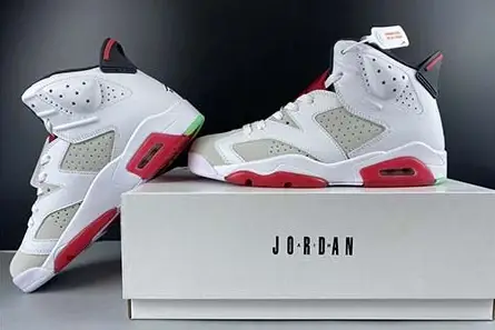 Air Jordan 6 “Hare” CT8529-062 DailyWear 8772 