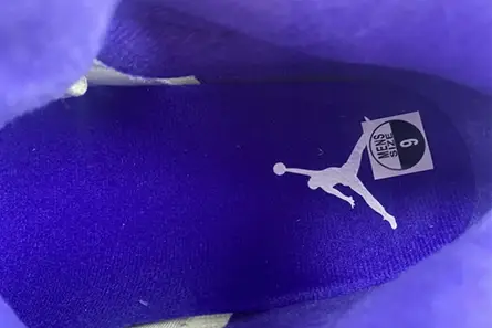 Air Jordan5 CONCORD DD0587-141 Resilient 515 