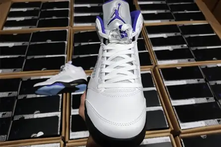 Air Jordan5 CONCORD DD0587-141 Resilient 515 