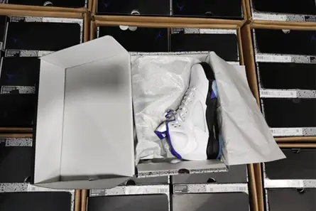 Air Jordan5 CONCORD DD0587-141 Resilient 515 