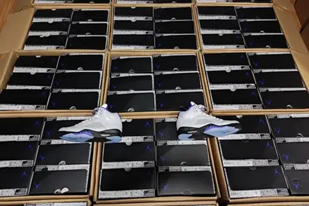 Air Jordan5 CONCORD DD0587-141 Resilient 515 