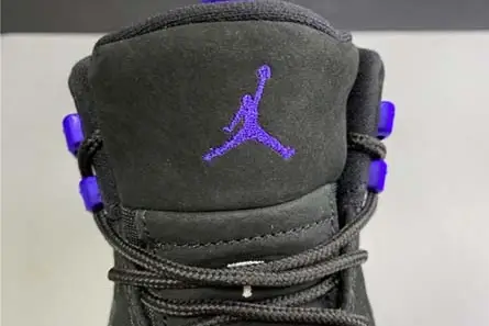 BestValue 7363 Air Jordan 12 “Dark Concord” CT8013-005 