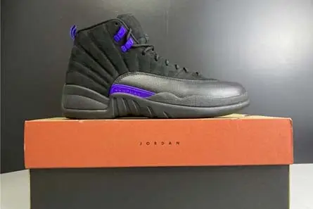 BestValue 7363 Air Jordan 12 “Dark Concord” CT8013-005 