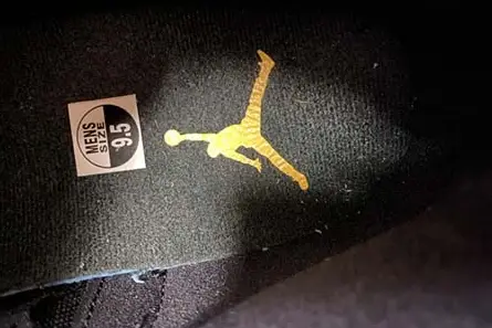 BestValue 7363 Air Jordan 12 “Dark Concord” CT8013-005 