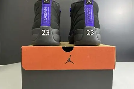 BestValue 7363 Air Jordan 12 “Dark Concord” CT8013-005 