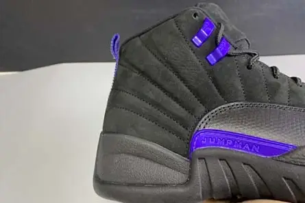 BestValue 7363 Air Jordan 12 “Dark Concord” CT8013-005 