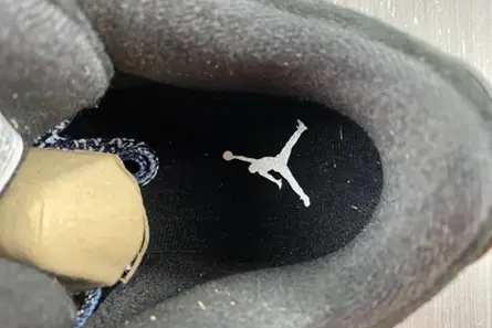 Bold 3984 Jordan 3 Retro CK9246-168 