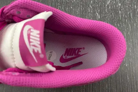 Bright 5574 Nike Dunk Low Active Fuchsia FJ0704-100 