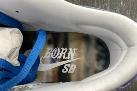 Bright 6127 Nike SB Dunk Low Born x Raised One Block At A Time FN7819-400 