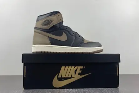 Comfortable 2446 Air Jordan 1 High OG “Palomino” DZ5485-020 