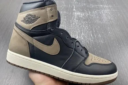 Comfortable 2446 Air Jordan 1 High OG “Palomino” DZ5485-020 