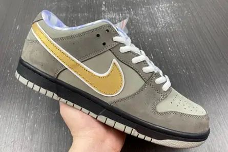 Comfortable 9596 Concepts x Nike SB Dunk Low BV1310-105 
