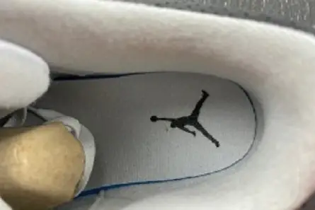 Compact 3402 Jordan 3 Retro Hide N' Sneak  DX6665-100 