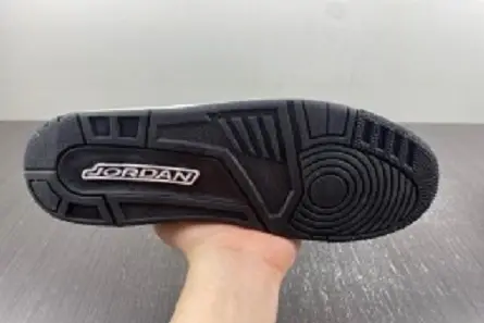 Compact 3402 Jordan 3 Retro Hide N' Sneak  DX6665-100 