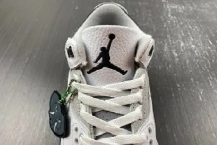 Compact 3402 Jordan 3 Retro Hide N' Sneak  DX6665-100 